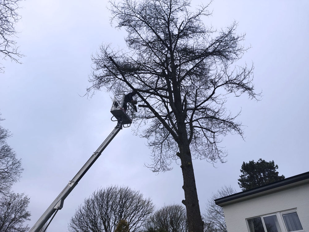 hoogwerker hoogwerker